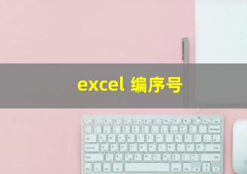 excel 编序号